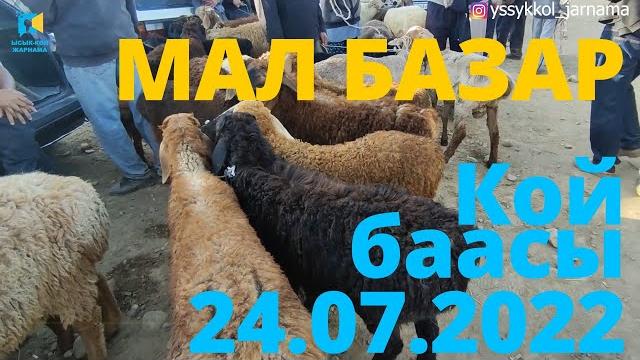 Койдун баасы 1 мал базар каракол 24-июль 2022 г Койдун баасы 1 мал базар каракол 24-июль 2022 г