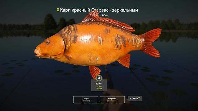 #русская рыбалка 4 #рр4 #янтарное #фарм #rf4 карп красный старвас-зеркальный 680 монет 08.09.22 #русская рыбалка 4 #рр4 #янтарное #фарм #rf4 карп красный старвас-зеркальный 680 монет 08.09.22