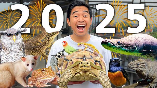 Animal roomtour 2025! raid all iqbalizda's pets! i finally tell you about this oddity! Animal roomtour 2025! raid all iqbalizda's pets! i finally tell you about this oddity!
