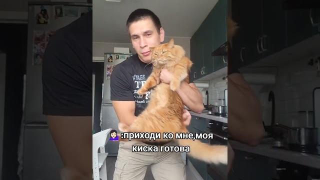 Твоя киска,мой котик Твоя киска,мой котик