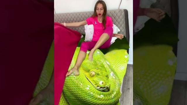 Tv in my perfect bed 2 #shorts by anna kova Tv in my perfect bed 2 #shorts by anna kova