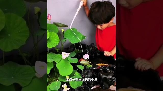 感谢大家支持#动物 #快手手艺人 #古法养鱼 感谢大家支持#动物 #快手手艺人 #古法养鱼
