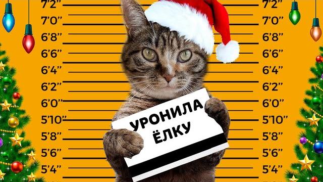 Новогодние мемы от подписчиков! смотрим ваши приколы! Новогодние мемы от подписчиков! смотрим ваши приколы!