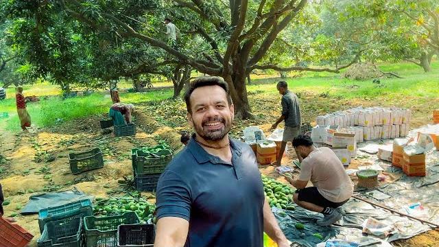 Humare 10 acre rosier mango farms Humare 10 acre rosier mango farms