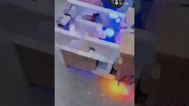 Bol bam #special # #viral @ maha_kaldj -️= Bol bam #special # #viral @ maha_kaldj -️=