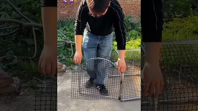 Runway chicken cage #ecological free range #shorts Runway chicken cage #ecological free range #shorts