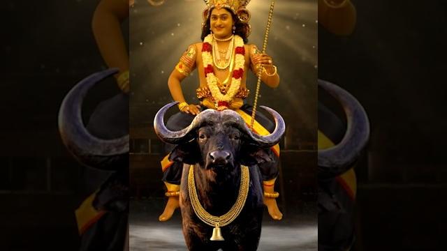 Avanangattu maya #vishnumaya Avanangattu maya #vishnumaya