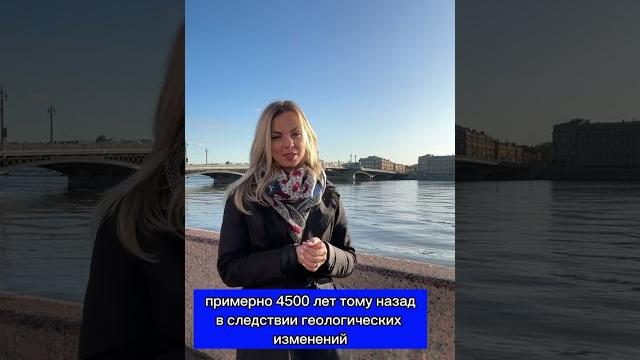 Нева с финского переводит как болото #искусство #петербург #историяроссии #историяпетербурга #питер Нева с финского переводит как болото #искусство #петербург #историяроссии #историяпетербурга #питер