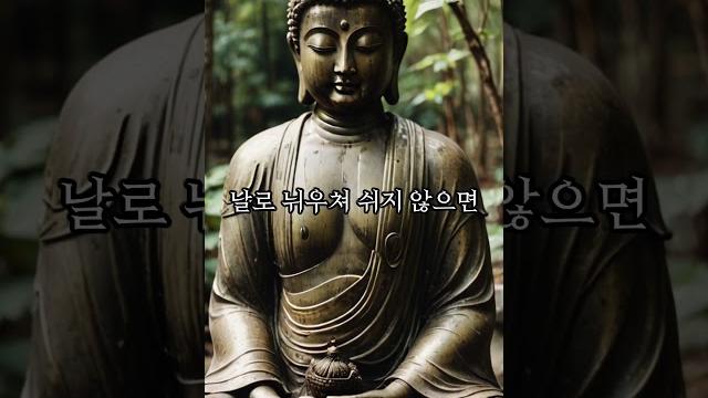 참회의 중요성 #부처님 #진리 #명언 참회의 중요성 #부처님 #진리 #명언