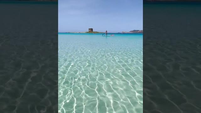 La pelosa beach in sardinia, italy La pelosa beach in sardinia, italy