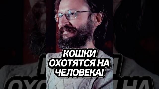 Дробышевский о кошках! #интересно Дробышевский о кошках! #интересно