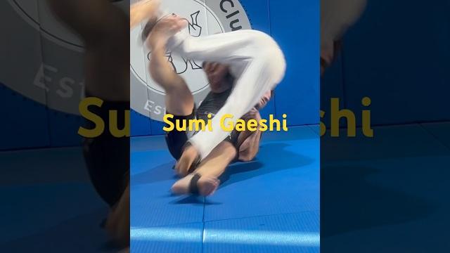 Uki-waza/sumi gaeshi-launch your opponent Uki-waza/sumi gaeshi-launch your opponent