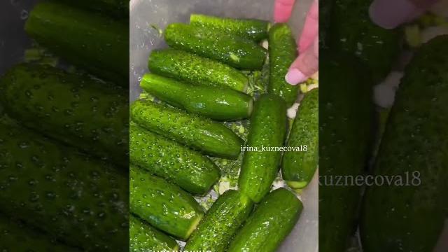 Вот такие должны быть малосольные огурцы хрустящие и очень вкусные а не какие-нибудь там вареные тем Вот такие должны быть малосольные огурцы хрустящие и очень вкусные а не какие-нибудь там вареные тем