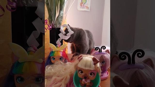 Буся кошечка #shorts #рекомендации #буся #кошка Буся кошечка #shorts #рекомендации #буся #кошка