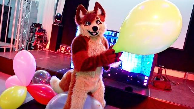 Balloons at the furdance Balloons at the furdance