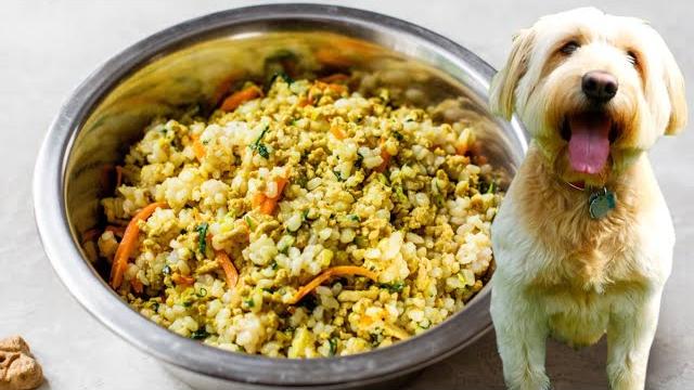 Homemade dog food | healthy dog food recipe Homemade dog food | healthy dog food recipe