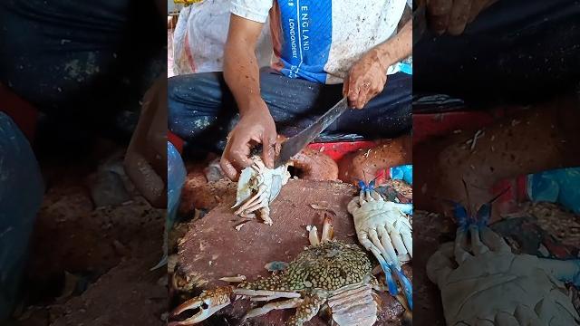Crab cutting skills #shorts Crab cutting skills #shorts