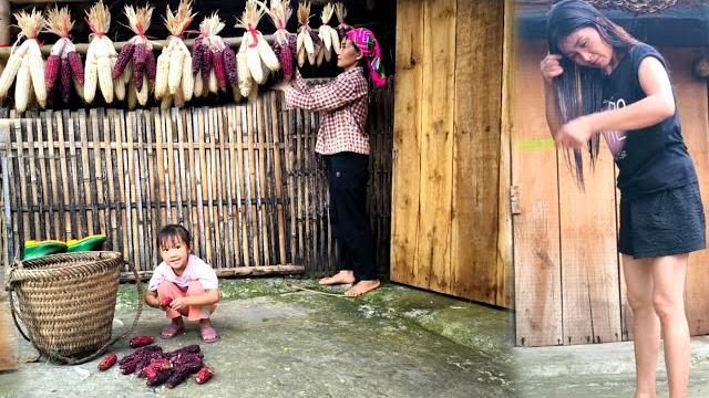 Mother and daughter bundle corn into bunches and hang them on the wall to dry naturally,storing food Mother and daughter bundle corn into bunches and hang them on the wall to dry naturally,storing food