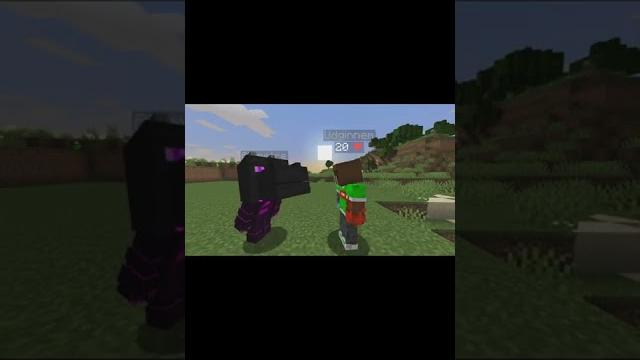 Чья собака круче? #minecraft #приколы #shorts Чья собака круче? #minecraft #приколы #shorts