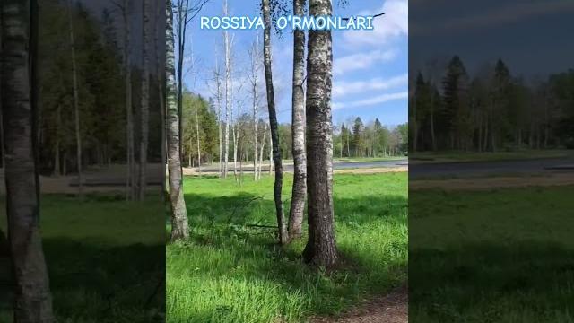 Musofirlarni olloh panohida asrasin.#россия #rossiya #lake #tour #travel #campping #nature #musofir Musofirlarni olloh panohida asrasin.#россия #rossiya #lake #tour #travel #campping #nature #musofir