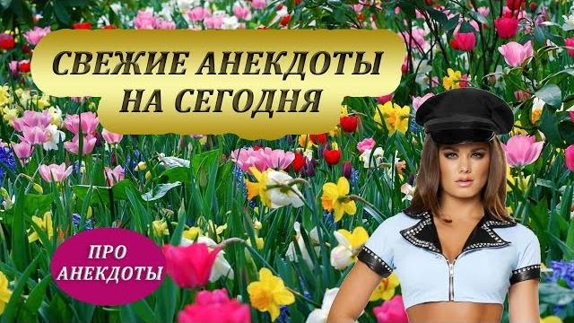 Свежие анекдоты на сегодня Свежие анекдоты на сегодня
