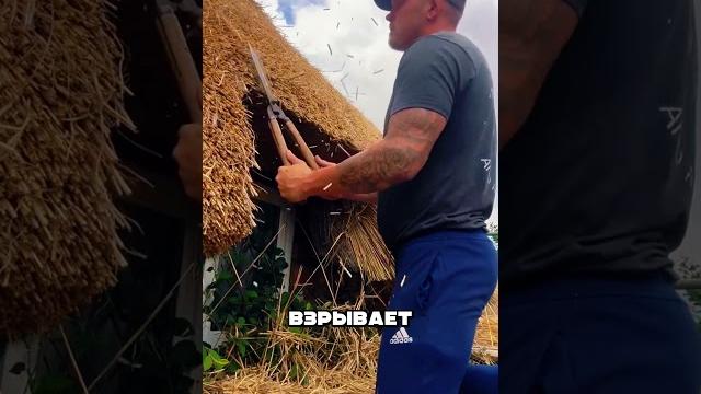 Русский парень крышует всю британию! Русский парень крышует всю британию!