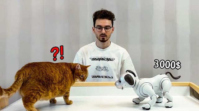Заменил своего кота роботом за 3000$ Заменил своего кота роботом за 3000$
