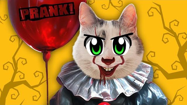 4 пранка на хэллоуин | смешные розыгрыши для котов 4 пранка на хэллоуин | смешные розыгрыши для котов