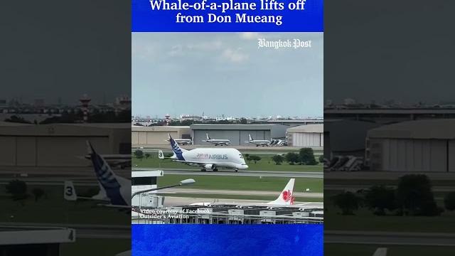 Airbus beluga takes off at don mueang Airbus beluga takes off at don mueang