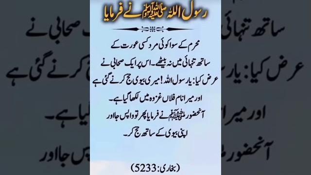 Islamic quotes #quotes #bestquotes #goldenwords #love #motivation #beautiful #urdu #bestqoutes #fajr Islamic quotes #quotes #bestquotes #goldenwords #love #motivation #beautiful #urdu #bestqoutes #fajr