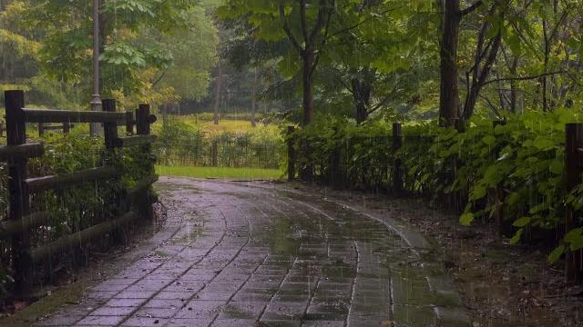 A quiet walk in the rain. insomnia and the quiet sound of rain in sleep asmr white noise A quiet walk in the rain. insomnia and the quiet sound of rain in sleep asmr white noise