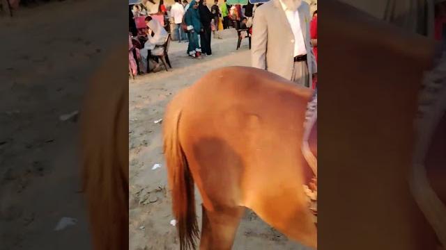 Beautiful place in chittagong #music Beautiful place in chittagong #music