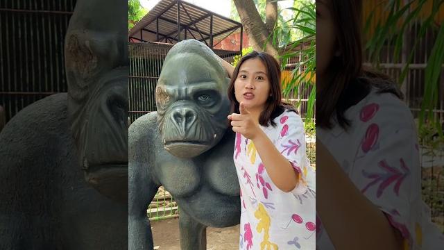 Berburu hewan di kebun Berburu hewan di kebun