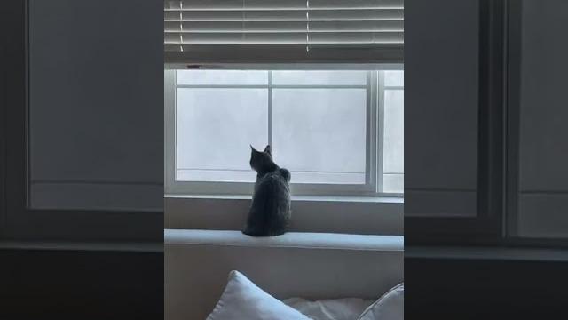 Kenzie - livestream (instagram) Kenzie - livestream (instagram)