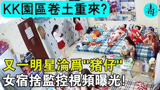 又一明星淪為“豬仔”,kk園區捲土重來?緬甸電詐園區女寢監控意外流出,原來她們這麼慘! 又一明星淪為“豬仔”,kk園區捲土重來?緬甸電詐園區女寢監控意外流出,原來她們這麼慘!
