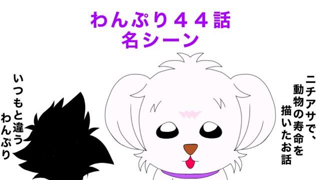 わんだふるぷりきゅあ!44話の名シーン わんだふるぷりきゅあ!44話の名シーン