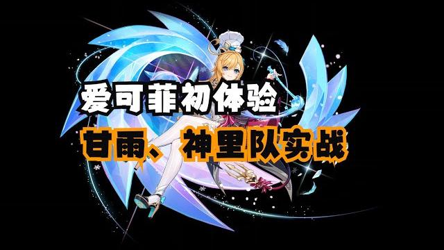 爱可菲初体验,甘雨、神里队实战 爱可菲初体验,甘雨、神里队实战