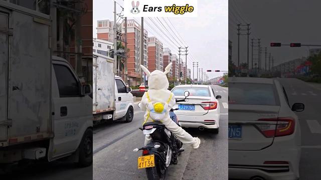 Huh ?! #viral #funny #motovlog #trending #top #motorcycle #bike #bikelover #short #bikeshort #cute Huh ?! #viral #funny #motovlog #trending #top #motorcycle #bike #bikelover #short #bikeshort #cute
