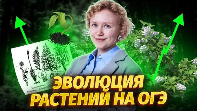 Эволюция растений для огэ по биологии | умскул Эволюция растений для огэ по биологии | умскул