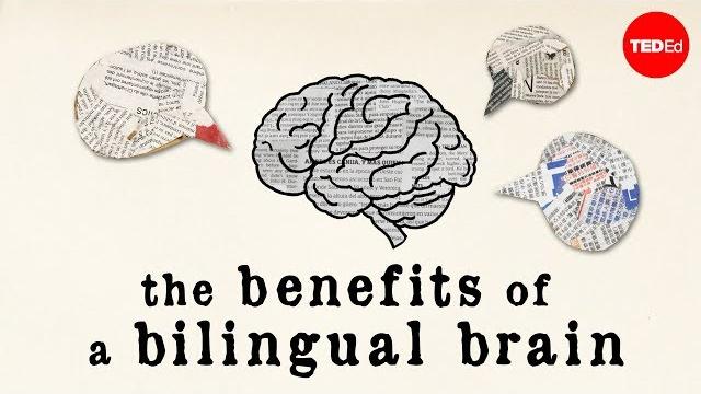 The benefits of a bilingual brain - mia nacamulli The benefits of a bilingual brain - mia nacamulli