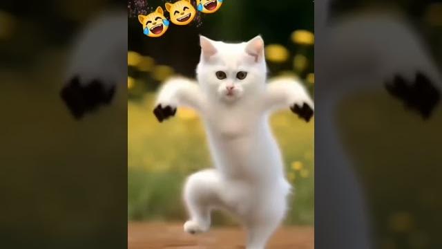 Santali#cartoon#funny#viral#video#murmubetaofficial Santali#cartoon#funny#viral#video#murmubetaofficial