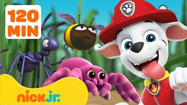 Paw patrol bug rescues & adventures! 2 hours | nick jr. Paw patrol bug rescues & adventures! 2 hours | nick jr.