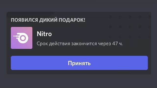 Легчайшее discord nitro (150,000 iq) Легчайшее discord nitro (150,000 iq)