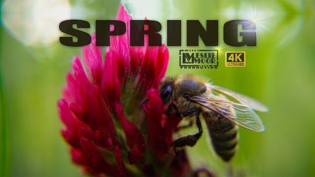 Spring - (official music video by leslie moor) Spring - (official music video by leslie moor)