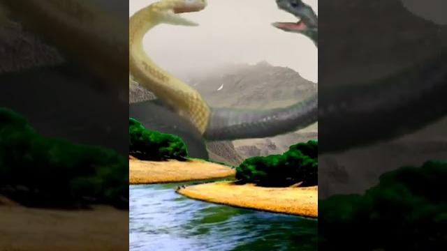 See how snakes honor love | 2022 new funny video #shorts #viral See how snakes honor love | 2022 new funny video #shorts #viral