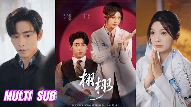 来咯【完整版】曹天恺&彭瑶《男科误诊,我竟嫁给了京圈太子爷&栩栩》腹黑傲娇霸总娇媚软萌医生,给患者做错检查,一不小心得了个傲娇小娇夫!#短剧 #完結 #蔓蔓書屋 #大结局 来咯【完整版】曹天恺&彭瑶《男科误诊,我竟嫁给了京圈太子爷&栩栩》腹黑傲娇霸总娇媚软萌医生,给患者做错检查,一不小心得了个傲娇小娇夫!#短剧 #完結 #蔓蔓書屋 #大结局