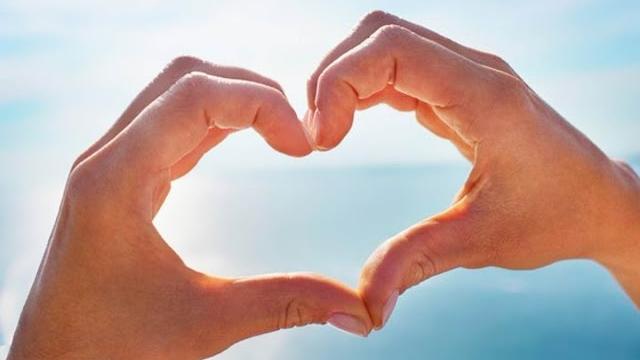 Чем человек отличается от животных? Чем человек отличается от животных?