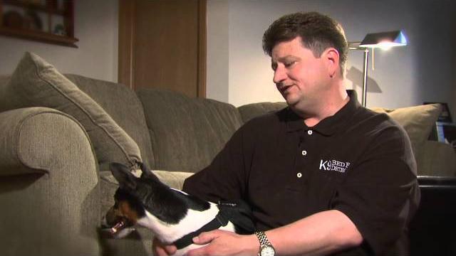 How bed bug sniffing dogs work How bed bug sniffing dogs work