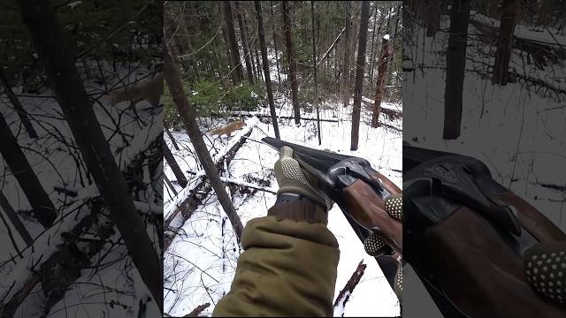 «в прицеле: мое путешествие по охоте на лис» #охота#huntingrussia#wildhunting#wildlife#foxhunting «в прицеле: мое путешествие по охоте на лис» #охота#huntingrussia#wildhunting#wildlife#foxhunting