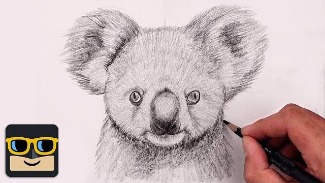 How to draw a koala | sketch tutorial How to draw a koala | sketch tutorial